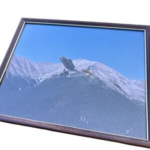 Vintage 70's 80's Mountains Aviation Plane Framed Cabin Decor Snow